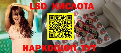 гидропоника Гатчина