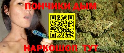 гидропоника Гатчина