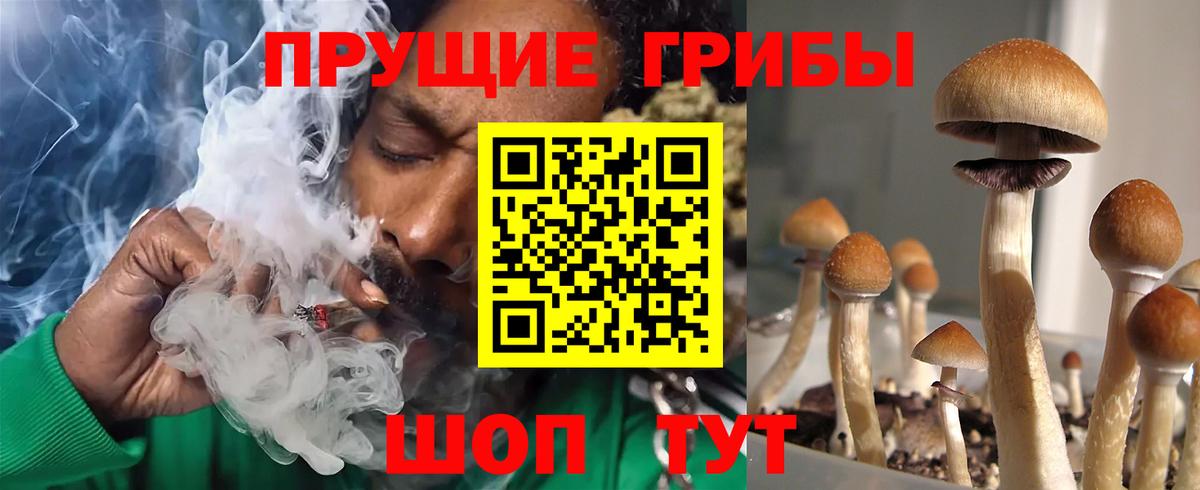 Псилоцибиновые грибы Magic Shrooms  Вход с VPN  Нижний Новгород 